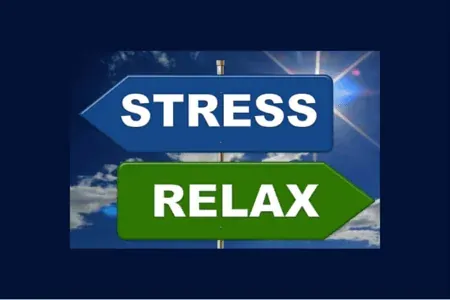 Stress Excessivo e relaxamento