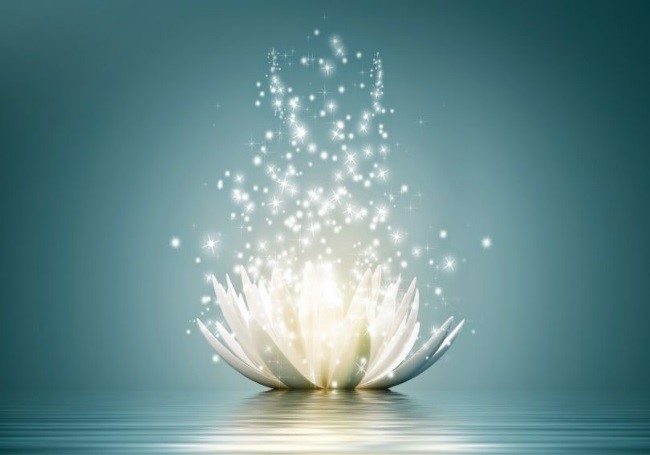 Espiritualidade e Sistema Imunológico