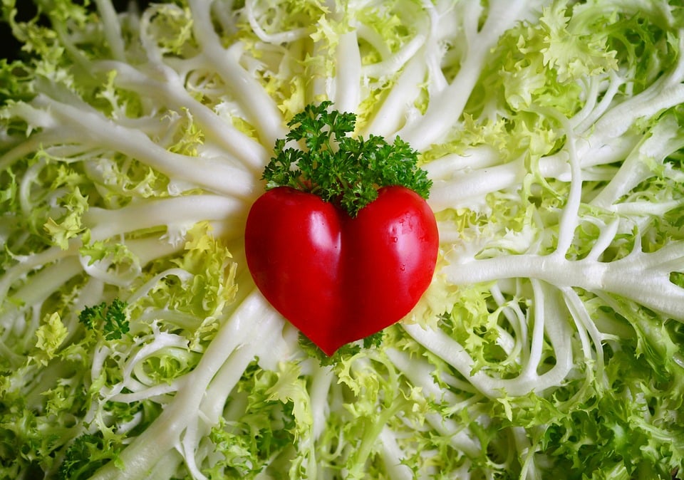 Comida Vegetariana e doenças no coração - Spa Sorocaba