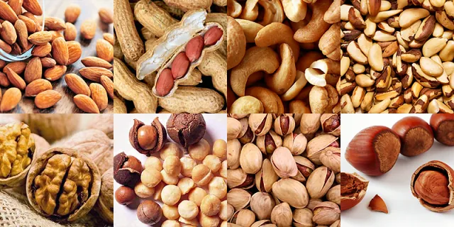 7 Dicas para Manter a Dieta no Inverno O poder das frutas oleaginosas